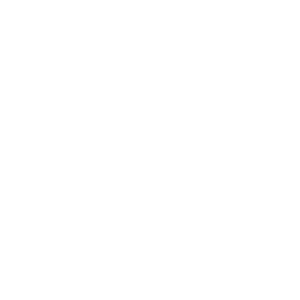 White Lightening Bolt Icon
